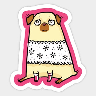 Pug on white lace shirt Sticker